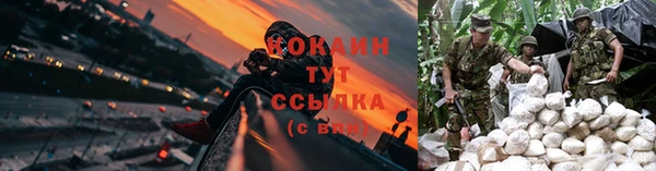a pvp Аркадак