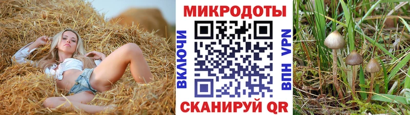 Галлюциногенные грибы GOLDEN TEACHER  Карпинск 